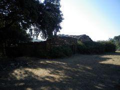 ¡La despoblación mata! ¡La despoblación mata!