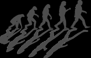 ¿Hacia Dónde Nos Lleva La Evolución Del Hombre?