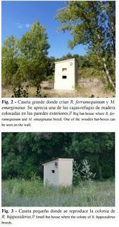 Nuevos refugios para murciélagos cavernícolas Nuevos refugios para murciélagos cavernícolas