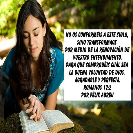 ¿Cómo entender la vida cristiana?