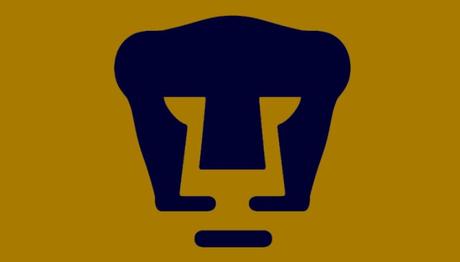 La verdad sobre nuevo refuerzo, Pumas despide a Darío Verón, Calendario de Pumas para el Apertura 2017