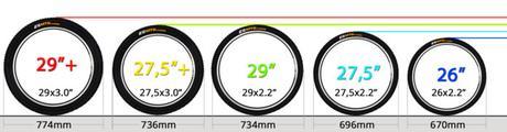 Todos los tamaños de rueda en mtb: 26, 27,5, 27,5+, 29, 29+ y fat bike
