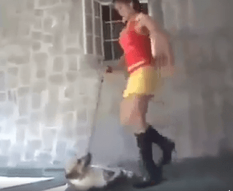 Difunden video de mujer pisoteando a perro en SLP