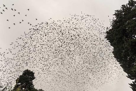 Luis Carlos Tovar gana el premio Descubrimientos PhotoEspaña 2017 con un original trabajo sobre movimientos migratorios