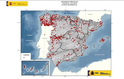 Causas de un incendio forestal I