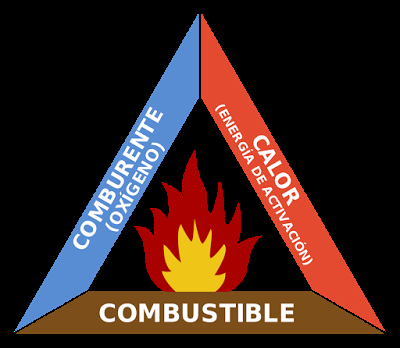 Causas de un incendio forestal I