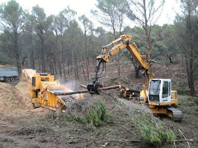 Causas de un incendio forestal I