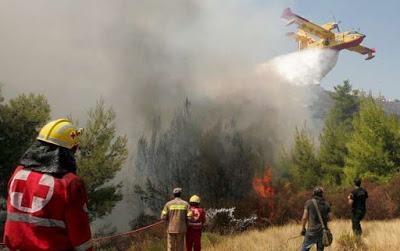 Causas de un incendio forestal I