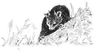 Reseña | Corazón de tinta | Cornelia Funke Reseña | Corazón de tinta | Cornelia Funke