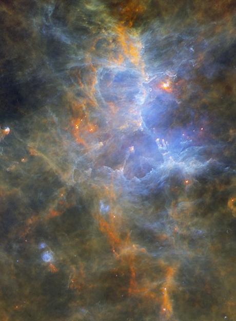 ✨El Águila por Herschel