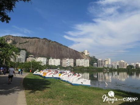 El día que hice arborismo en el Parque da Catacumbas, de Río de Janeiro