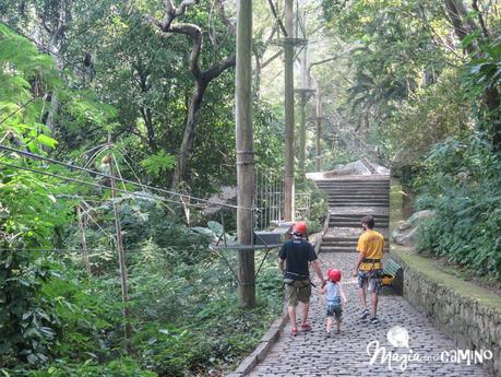 El día que hice arborismo en el Parque da Catacumbas, de Río de Janeiro