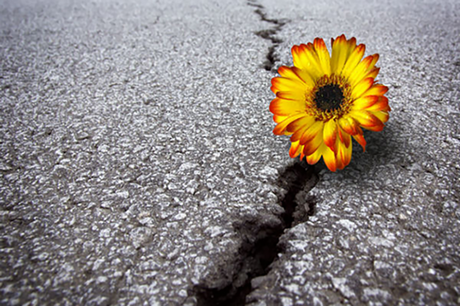 15 pasos para reinventarte después de perderlo todo