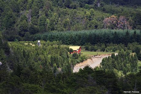 Reserva Nacional Futaleufú