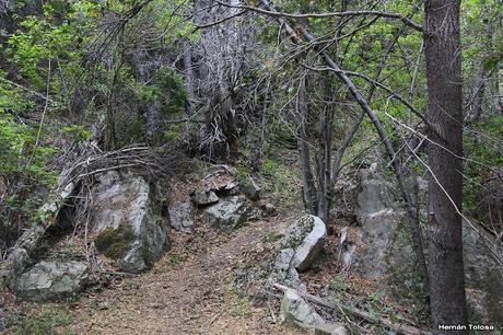 Reserva Nacional Futaleufú