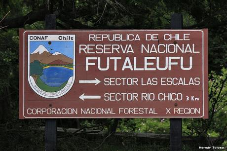 Reserva Nacional Futaleufú