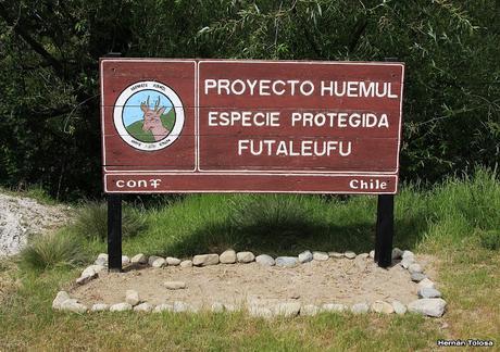 Reserva Nacional Futaleufú