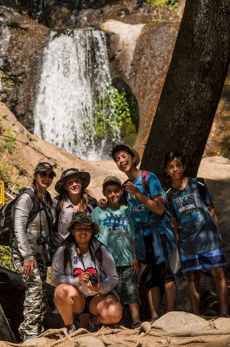 Rayadito (Thorn-tailed Rayadito) Aphrastura spinicauda