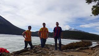 PAU NOS VIENE A VISITAR PAU NOS VIENE A VISITAR