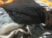 millonario negocio mantas empetroladas Pereyra”