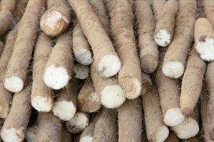 ¿Qué es el ñame? ¿Qué es el ñame?