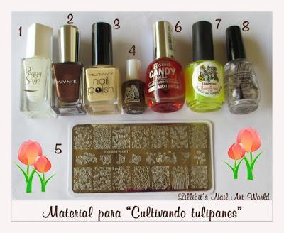 Cultivando tulipanes