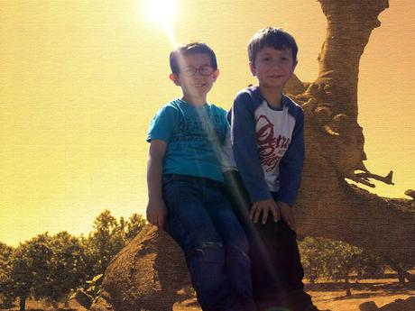 Congelados hasta el domingo