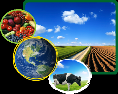 Diez novedades que revolucionarán el sector agroalimentario