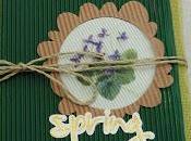Mini album Spring