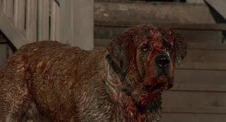CUJO (USA, 1983) Intriga, Terror