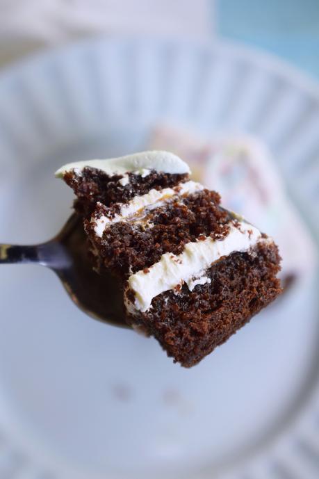 Tarta de chocolate y dulce de leche.