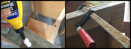 Contenedor para guardar comida de perro