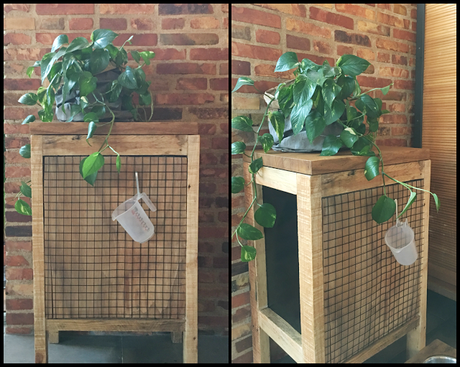 Contenedor para guardar comida de perro