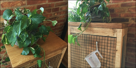 Contenedor para guardar comida de perro