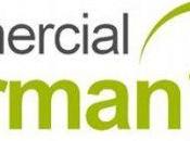 relojería Comercial Kirman: Herramientas Fornituras