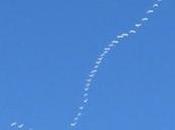 Chat vivo IJNet español: cómo desarrollar propio proyecto fact-checking