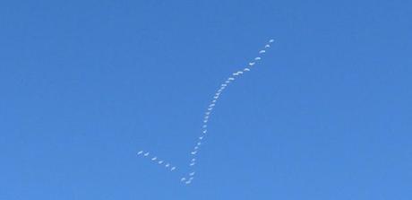 Chat en vivo de IJNet en español: cómo desarrollar tu propio proyecto de fact-checking