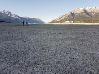 DE ACAMPADA EN ABRAHAM LAKE