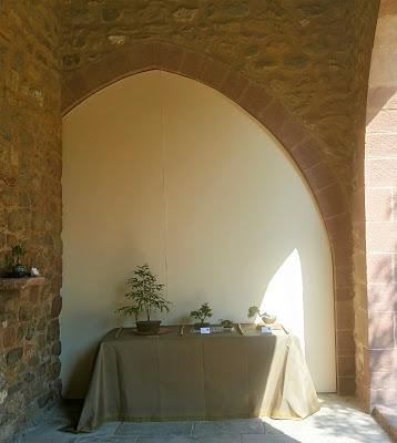 Exposicion en el Castell de la Cartoixa 2017