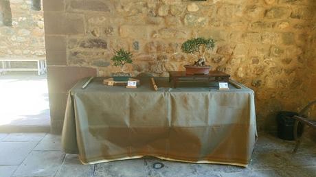 Exposicion en el Castell de la Cartoixa 2017