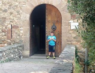 Exposicion en el Castell de la Cartoixa 2017