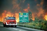 Al borde del verano: Calores que matan y ardores que destrozan.- Mientras Portugal se calcina, la vida política española se enciende