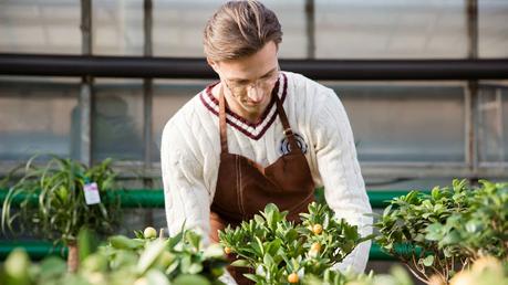 Soñar con plantas