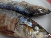 Sardinas asadas horno