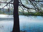 corras. despacio, Juan Ramón Jiménez