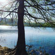 No corras. Ve despacio, de Juan Ramón Jiménez