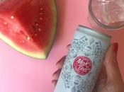 bebida healthy verano. Infusión gourmet stevia fruta