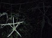 Blair witch (Adam Wingard, 2016. EEUU Canadá)