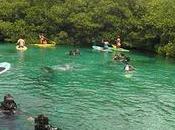 hacer visitar Tulum