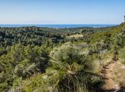 Cunit despoblado, huyendo locura urbanística